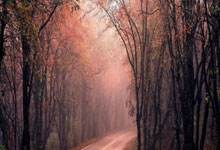 狗子28体育：21连胜！2024年老瓦杯马龙2比1击败奥恰洛夫央视体育.