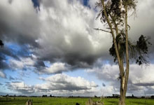 狗子28体育：0比8！太阳被横扫！快船季后赛杀神回归.