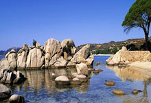 2025年U15世界中学生夏季运动会中国体育代表团成立.